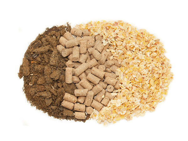 饲料添加剂检测